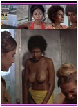 Pam Grier nude